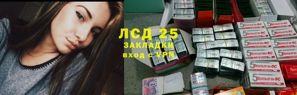 spice Елизово
